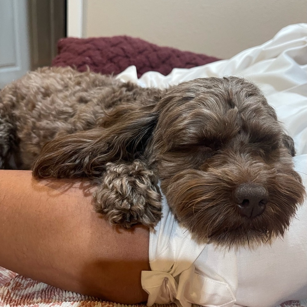 Meet your Posher, Julissa